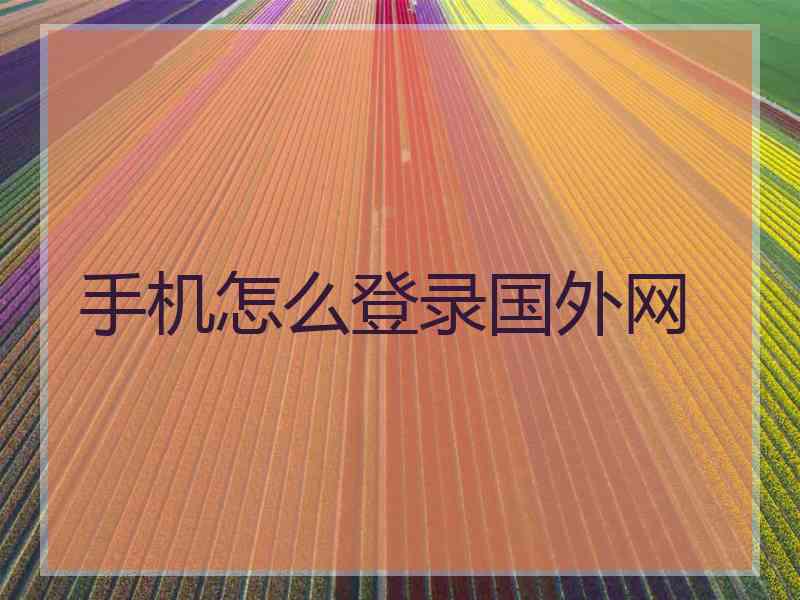 手机怎么登录国外网