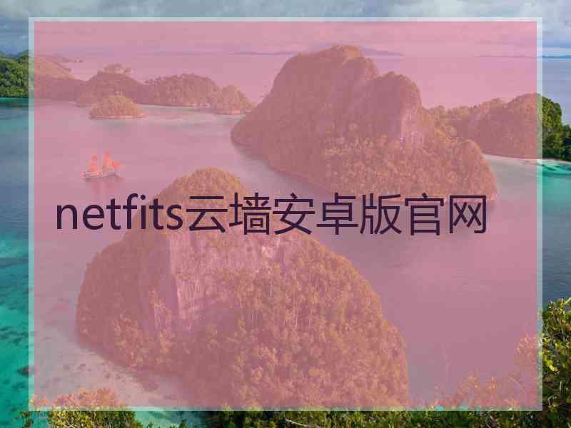 netfits云墙安卓版官网